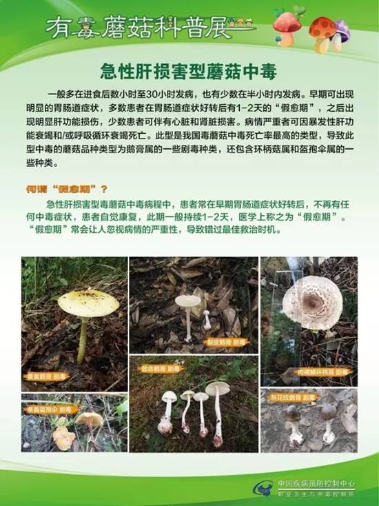 县疾控中心：有毒蘑菇科普，谨防中毒