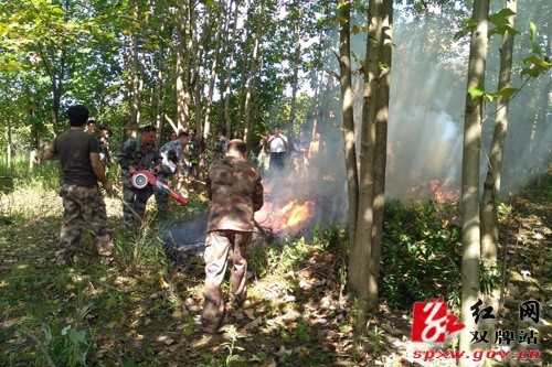 打鼓坪林场举行森林防火应急演练活动
