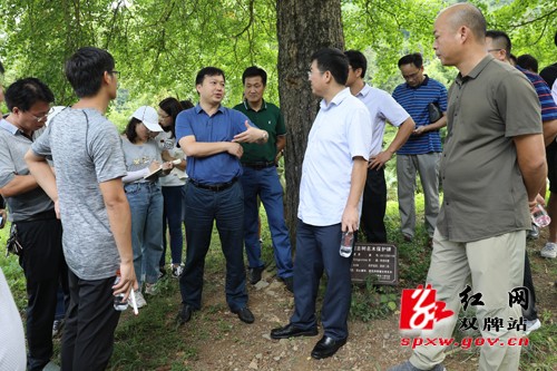 苏小康深入桐子坳村开展乡村振兴现场办公