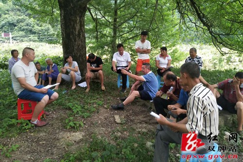 茶林镇:凝聚统战智慧 推进乡村振兴