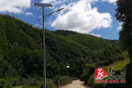一排排路灯点亮乡村 温暖民心