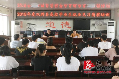 就业见习 为高校毕业生求职搭建过渡平台