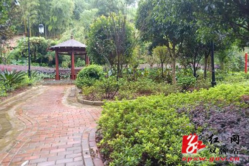加强小游园建设 居民家门口“绿意浓”