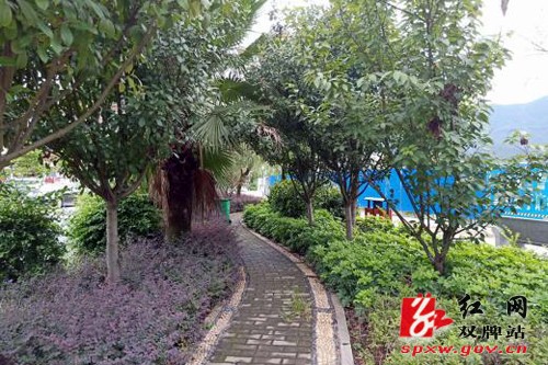 加强小游园建设 居民家门口“绿意浓”