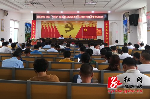 泷泊镇召开村（居）“两委”成员违纪违法涉黑涉恶问题专项排查整顿动员会