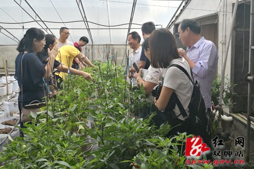 双牌县组织党外代表人士接受红色革命传统教育