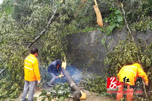 “山竹”来袭,公路人坚守在路上