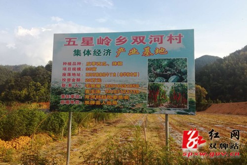 双河村:齐心发展集体经济 脚下黄土变黄金