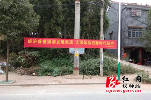 “5+2”模式坚守岗位积极推进第四次全国经济普查工作