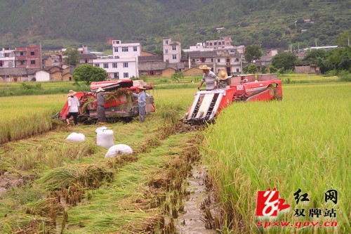 农民专业合作社助推农村经济发展