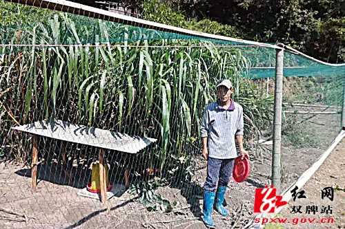 健康扶贫献真情 温暖贫困“一家心”