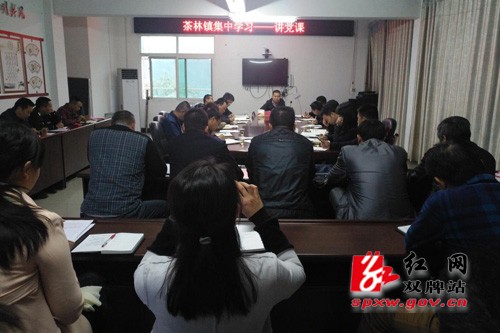 茶林镇：一场生动丰富的党课