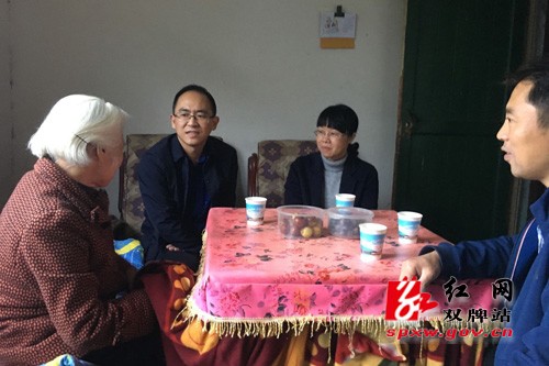 县审计局开展“重阳节”走访慰问活动