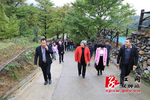 全市统战工作现场推进会走进双牌县