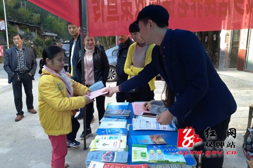 县人社局深入五星岭乡开展惠民政策宣传活动