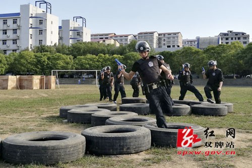 强化警务技战术训练 切实提升实战战斗力