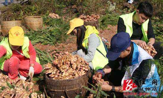 双牌志愿者“姜”志愿服务送进瑶乡