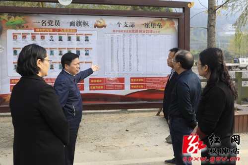 贺辉到双牌调研宣传思想文化工作