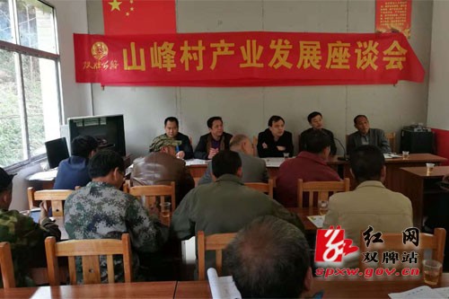 明确发展新方向 拓展产业新路子