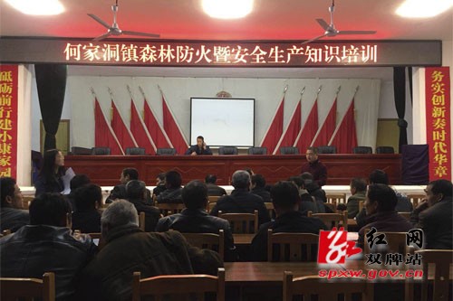 何家洞镇召开森林防火暨安全生产知识培训会