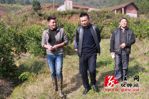 肖质彬到乡镇开展“三走访三签字”活动