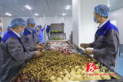 湖南尚昇生物科技有限公司举行开业典礼