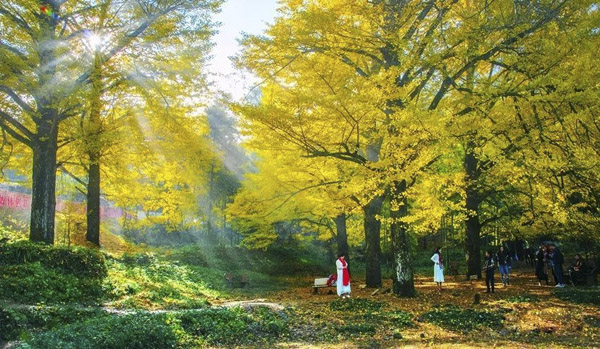 双牌再添国字金招牌 桐子坳村获授“全国生态文化村”