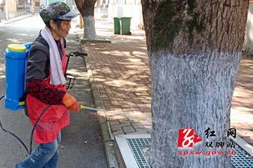 树木刷白穿新衣 防虫治病又美丽