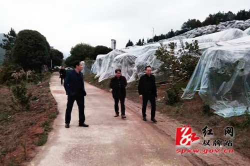 双牌气温跌破5℃！农户应做好农作物防寒防冻
