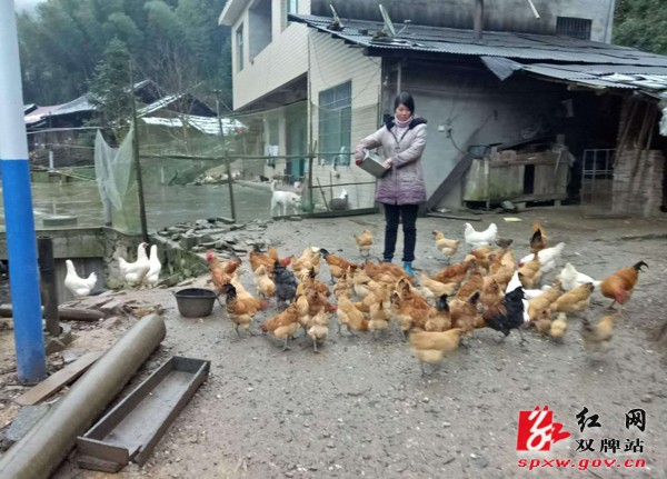 一个残疾女性奋力脱贫的故事