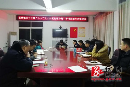 茶林镇开展“小火亡人、一氧化碳中毒”专项治理行动推进会