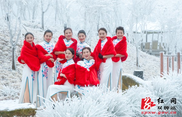 风雨送春归，飞雪迎春到