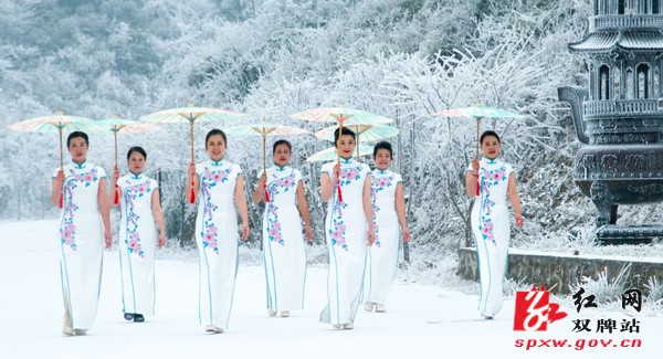 风雨送春归，飞雪迎春到