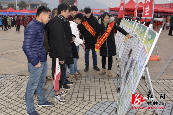 禁毒宣传走进招聘会