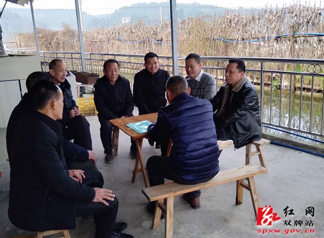 村务监督月例会让民生项目更阳光