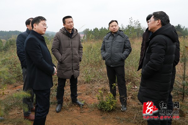 苏小康带队考察大熊猫繁育基地选址建设工作