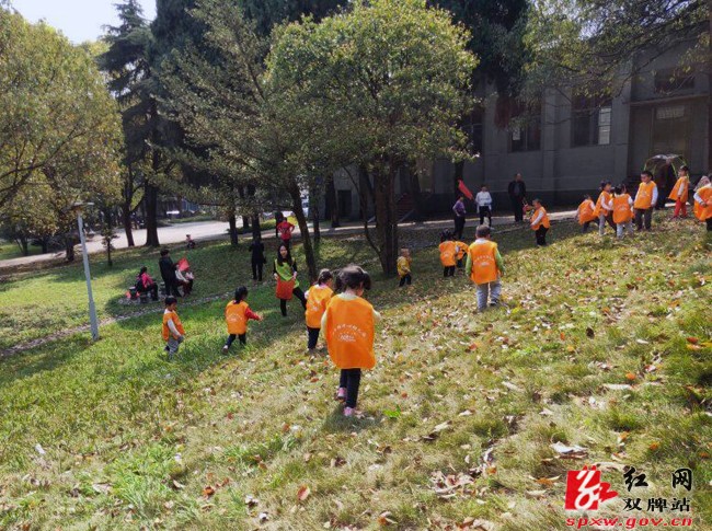 泷泊镇幼儿园：保护环境 从我做起