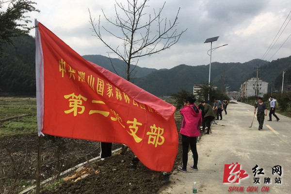 阳明山管理局开展“美化环境、我们在行动”主题党日活动
