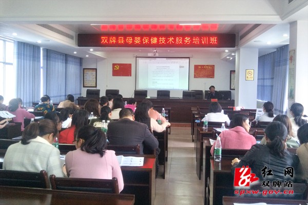 双牌县举办2019年母婴保健技术服务培训会