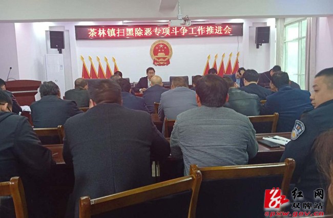 茶林镇党员干部积极参与扫黑除恶行动