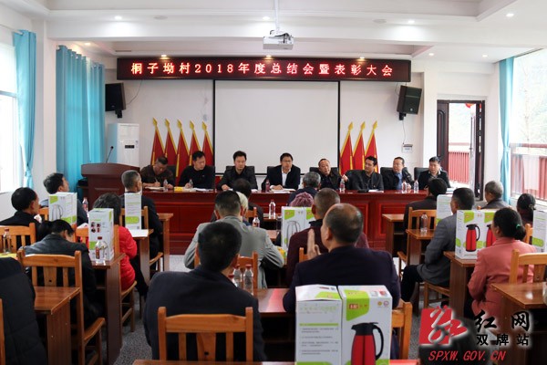 表彰先进典范 助力乡风文明