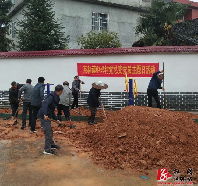茶林镇：美化家园 党员先行