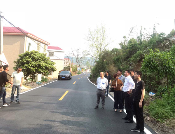 义村至胡家村道路顺利通过竣工验收