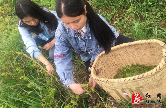 产教融合校企共赢 协同育人提升质量