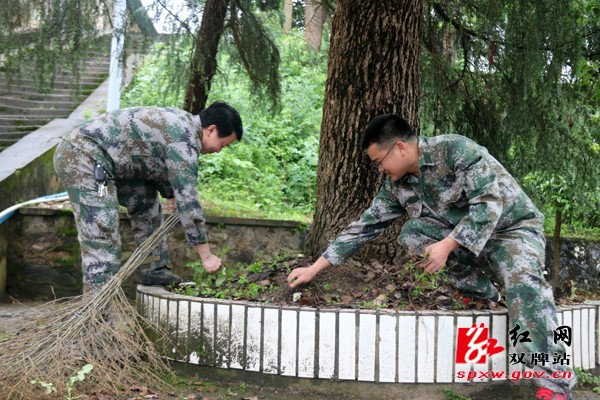 江村镇“把脉问诊”环境整治，发起村庄清洁“百村大比武”夏季攻势