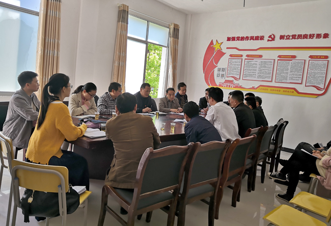 县委组织部开展“巩固脱贫成效 助力乡村振兴”主题党日活动