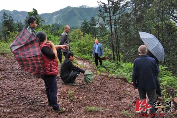 多年山林纠纷人民调解终化解