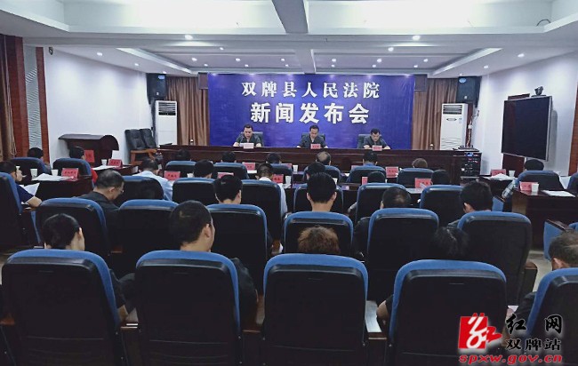 双牌县人民法院召开扫黑除恶专项斗争新闻发布会