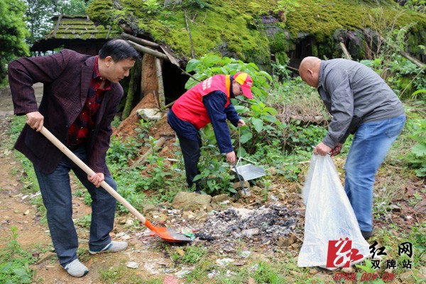 县供电公司:深入新田岭村开展人居环境整治