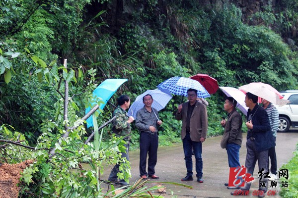 麻江镇党委政府心系群众冒雨指导防汛、地质灾害工作